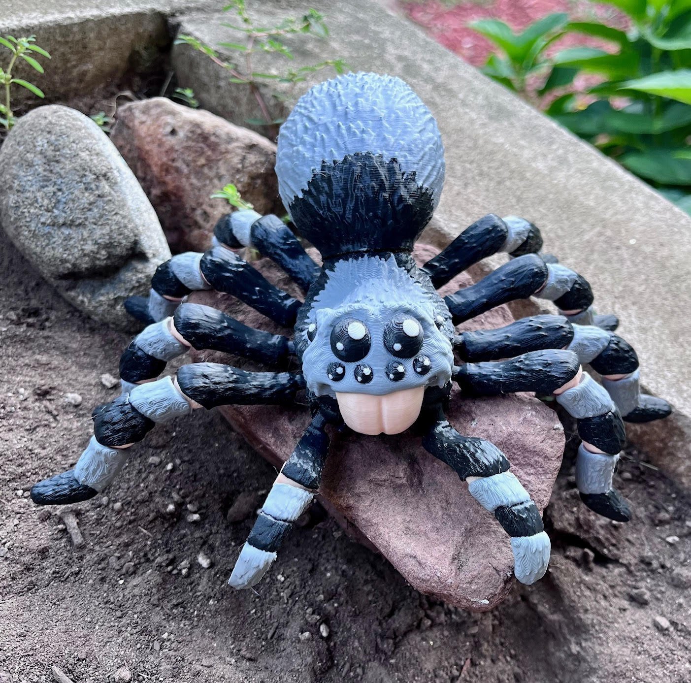 TARANTULA.jpg