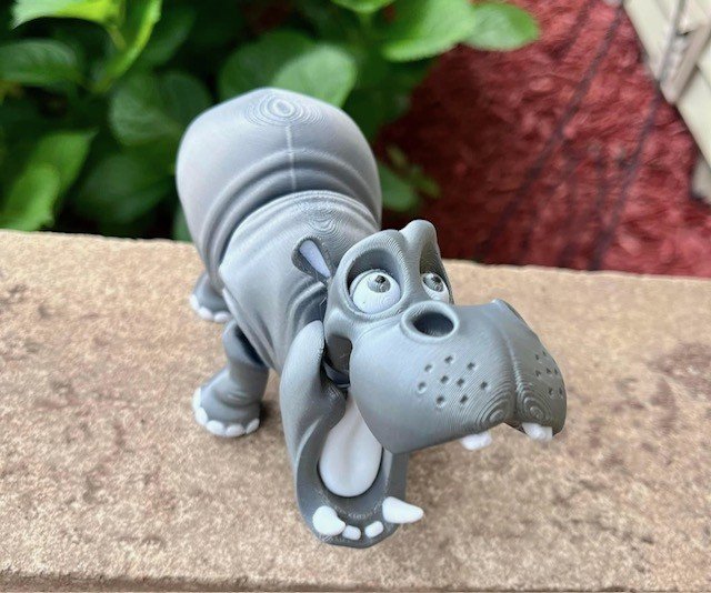 hippo.jpg