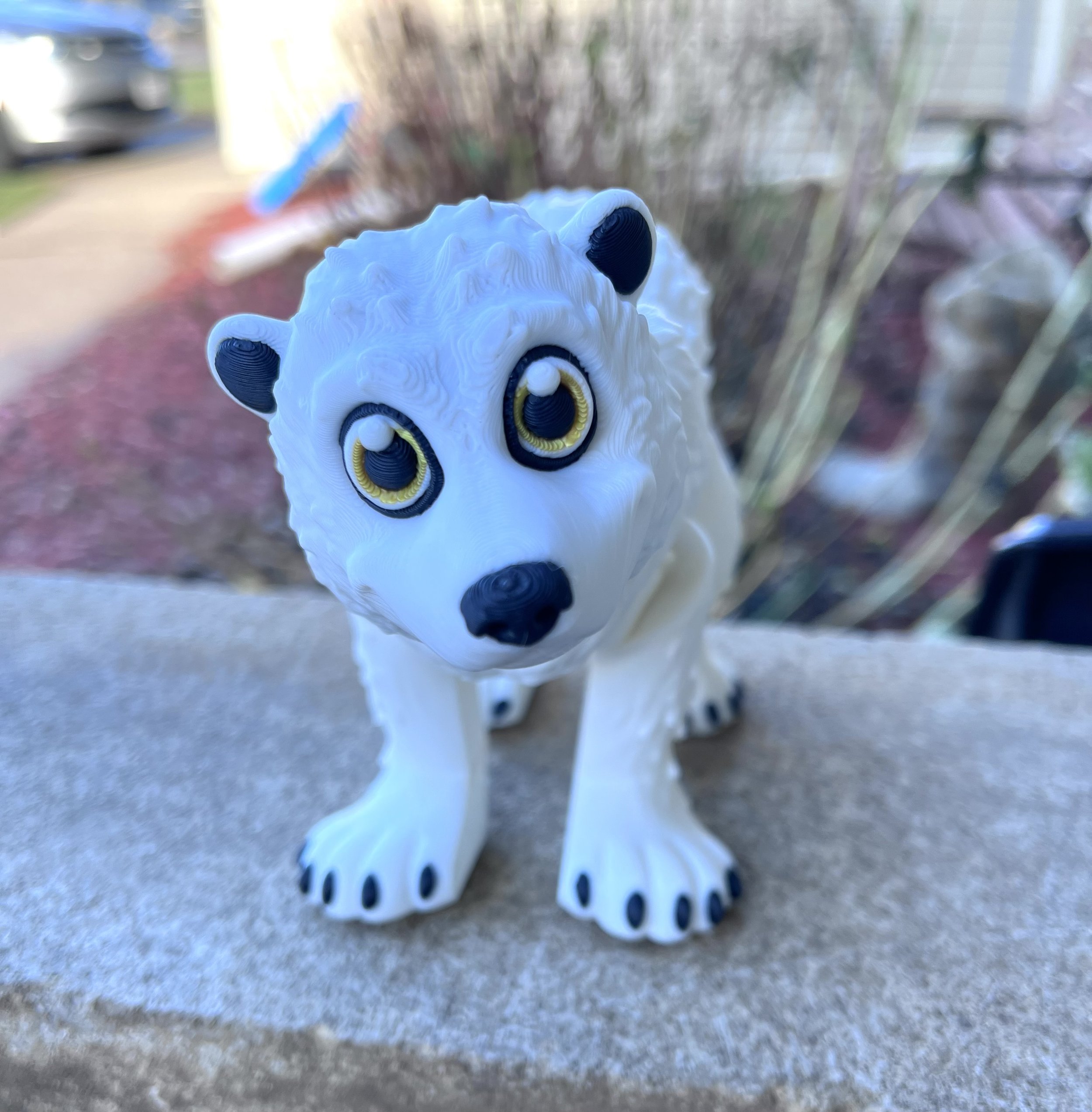 Polar Bear