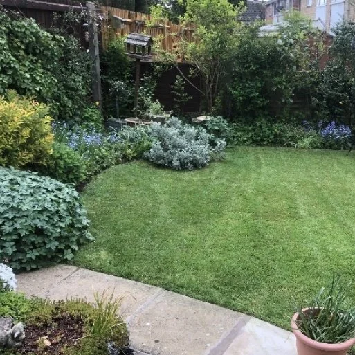 gardening services harborne lawn care birmingham