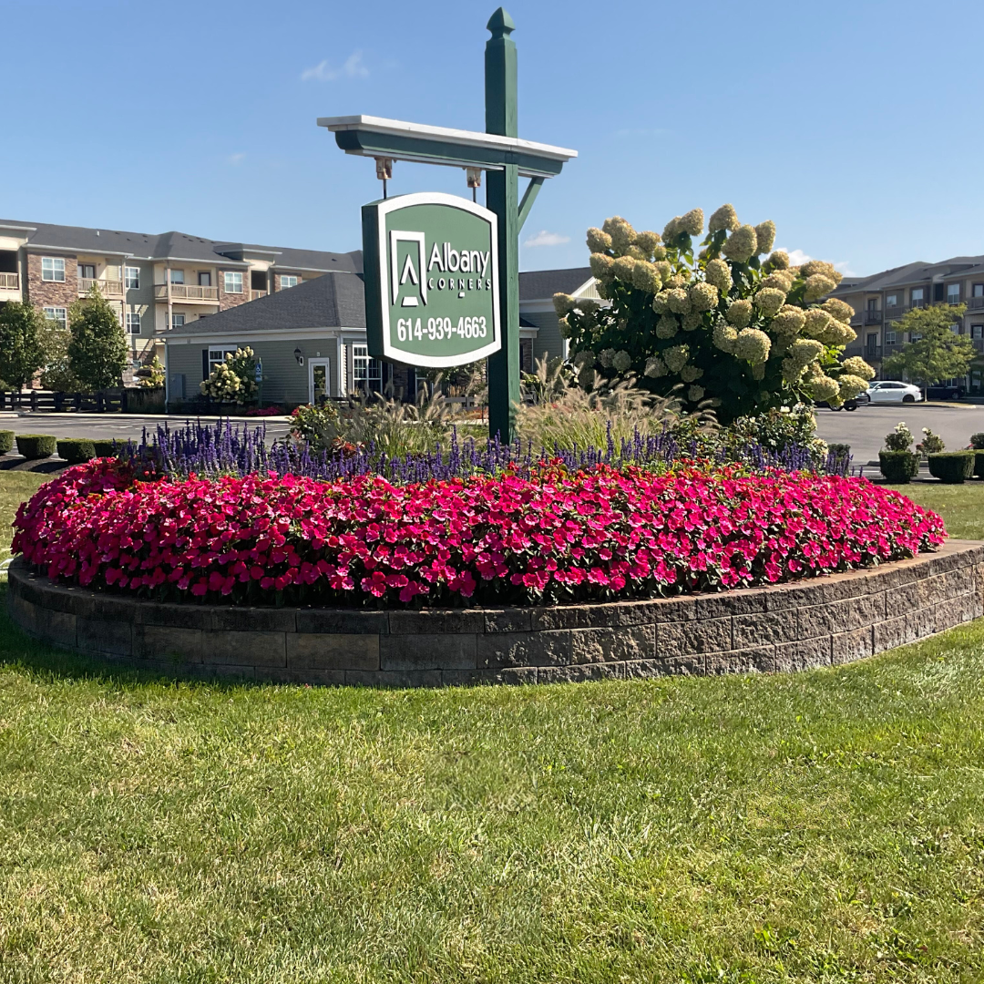 Sign for Albany Place surrounded by vibrant flowers and neatly trimmed lawn, with apartment buildings in the background.