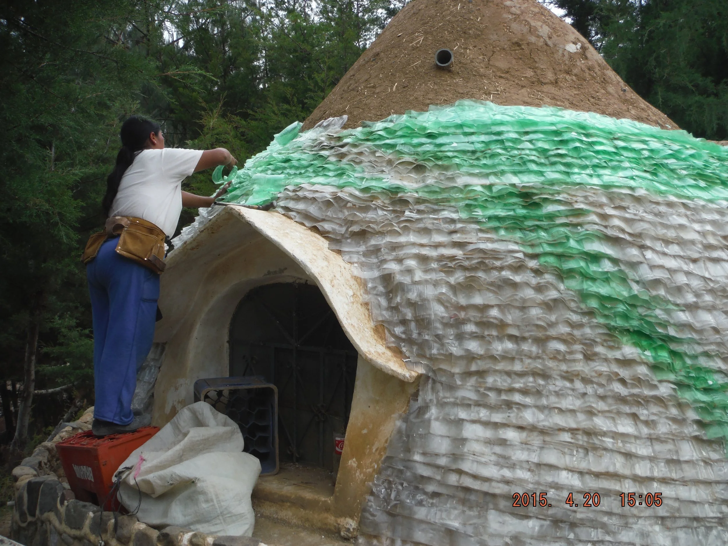 gartia 2.JPG