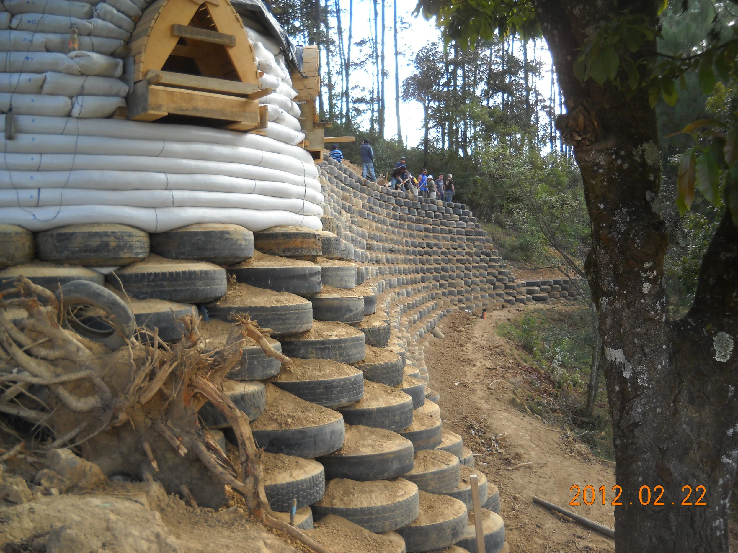 12-DSCN6556.jpg