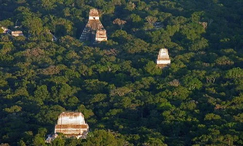 Tikal-National-Park-viewover.jpg