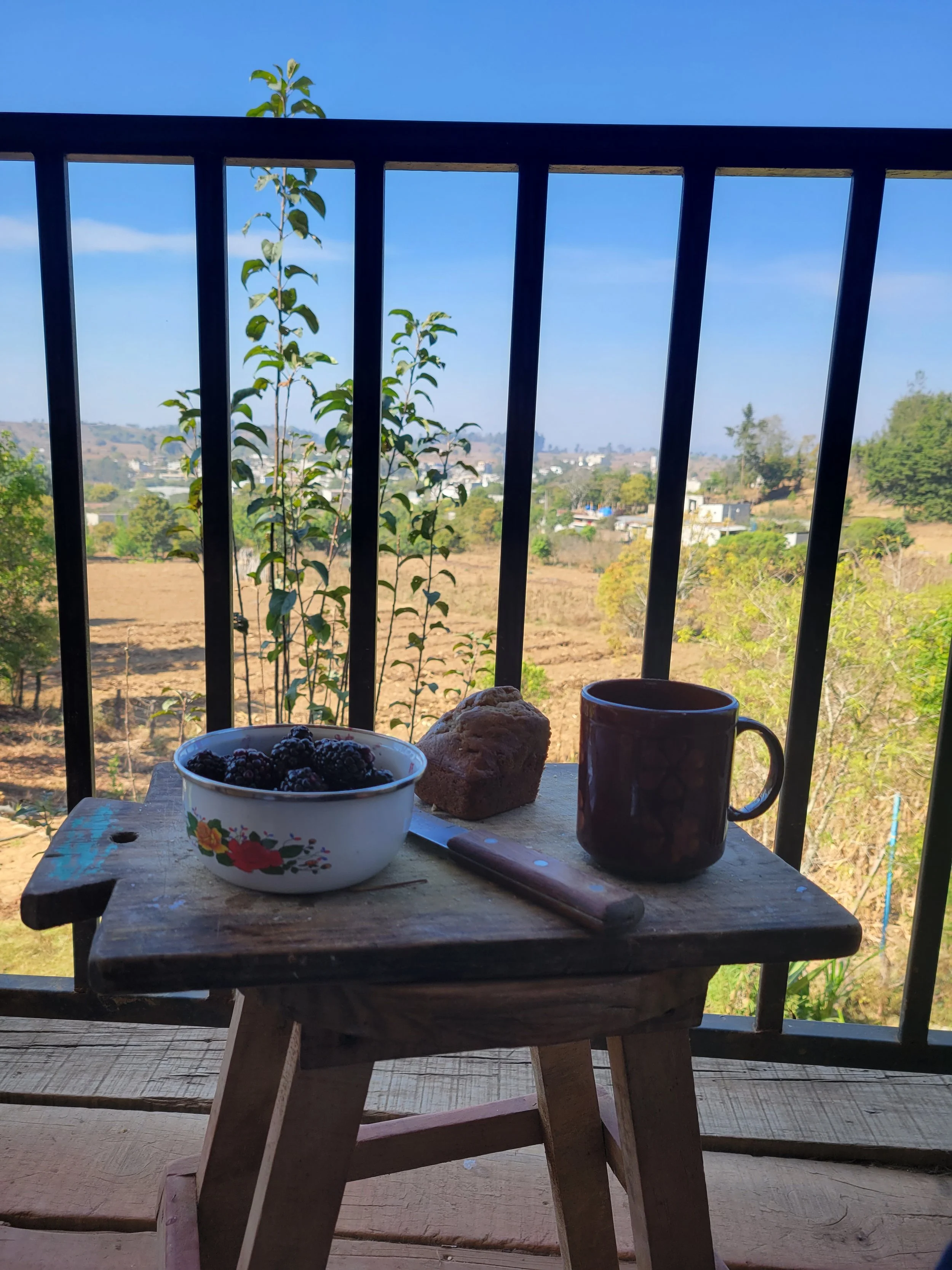 Breakfast on the downstairs porch