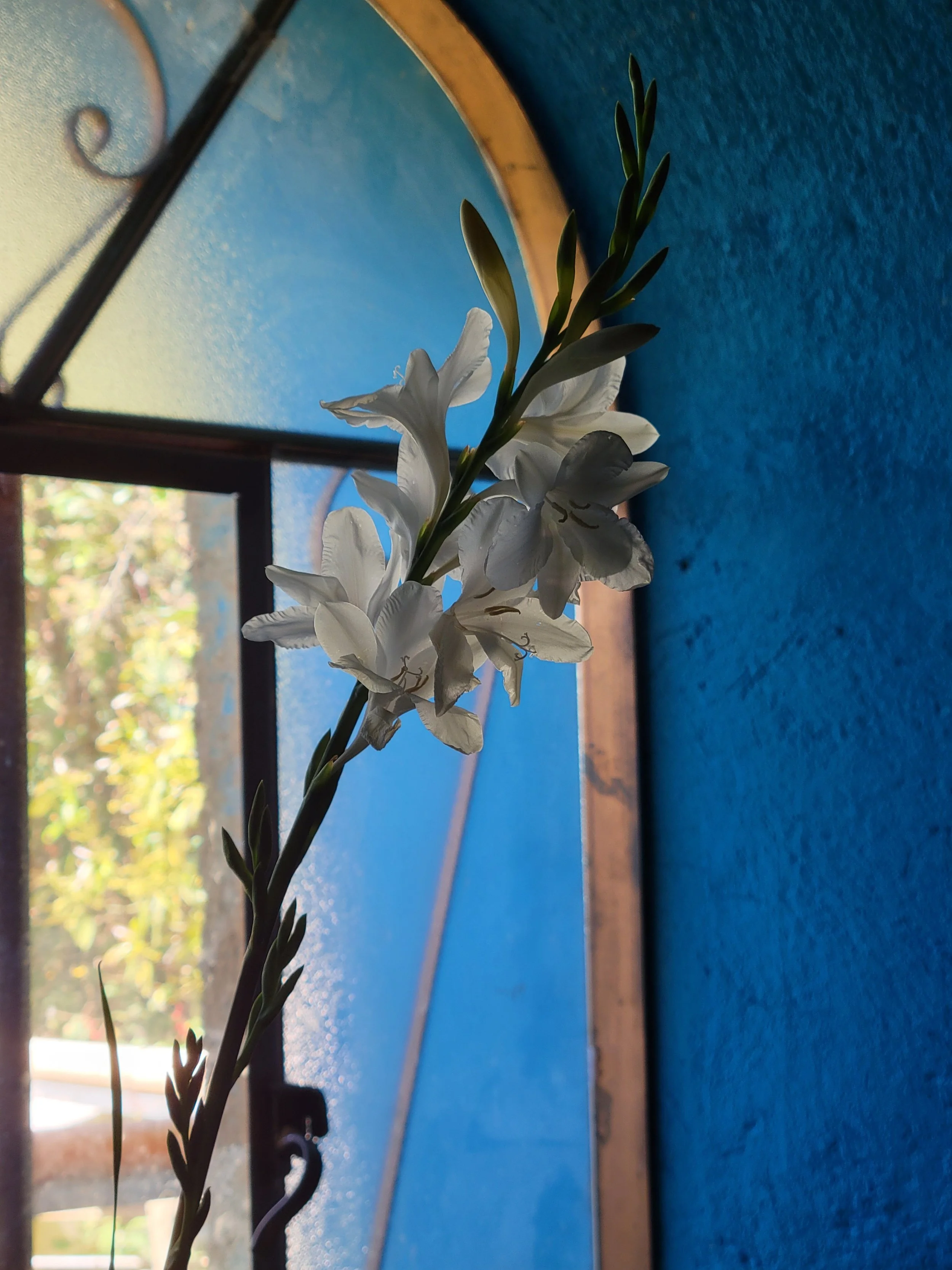 Fresh flowers from the market
