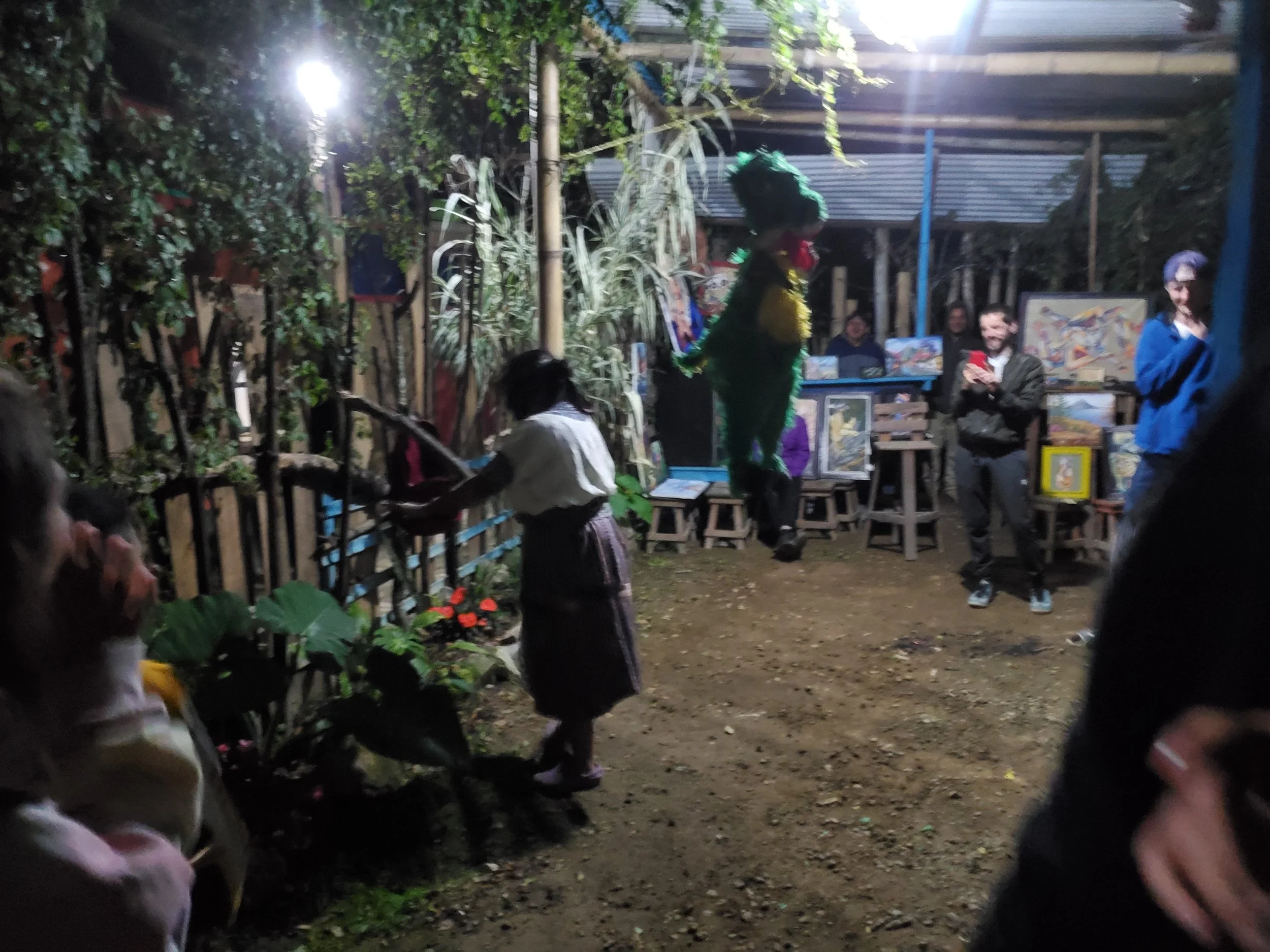 We've had a few birthdays to celebrate and this one had a piñata! 