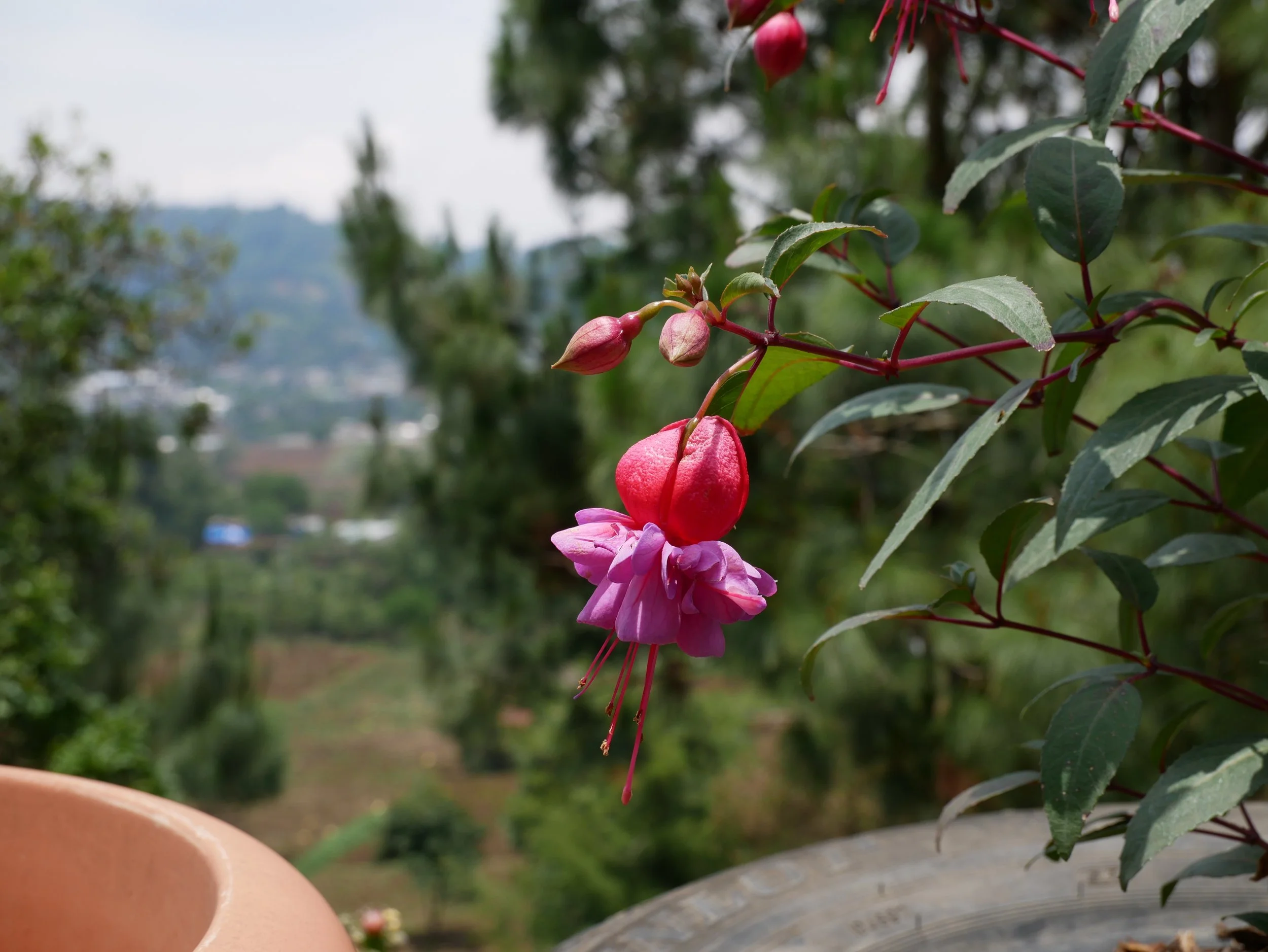Check out the flora and fauna