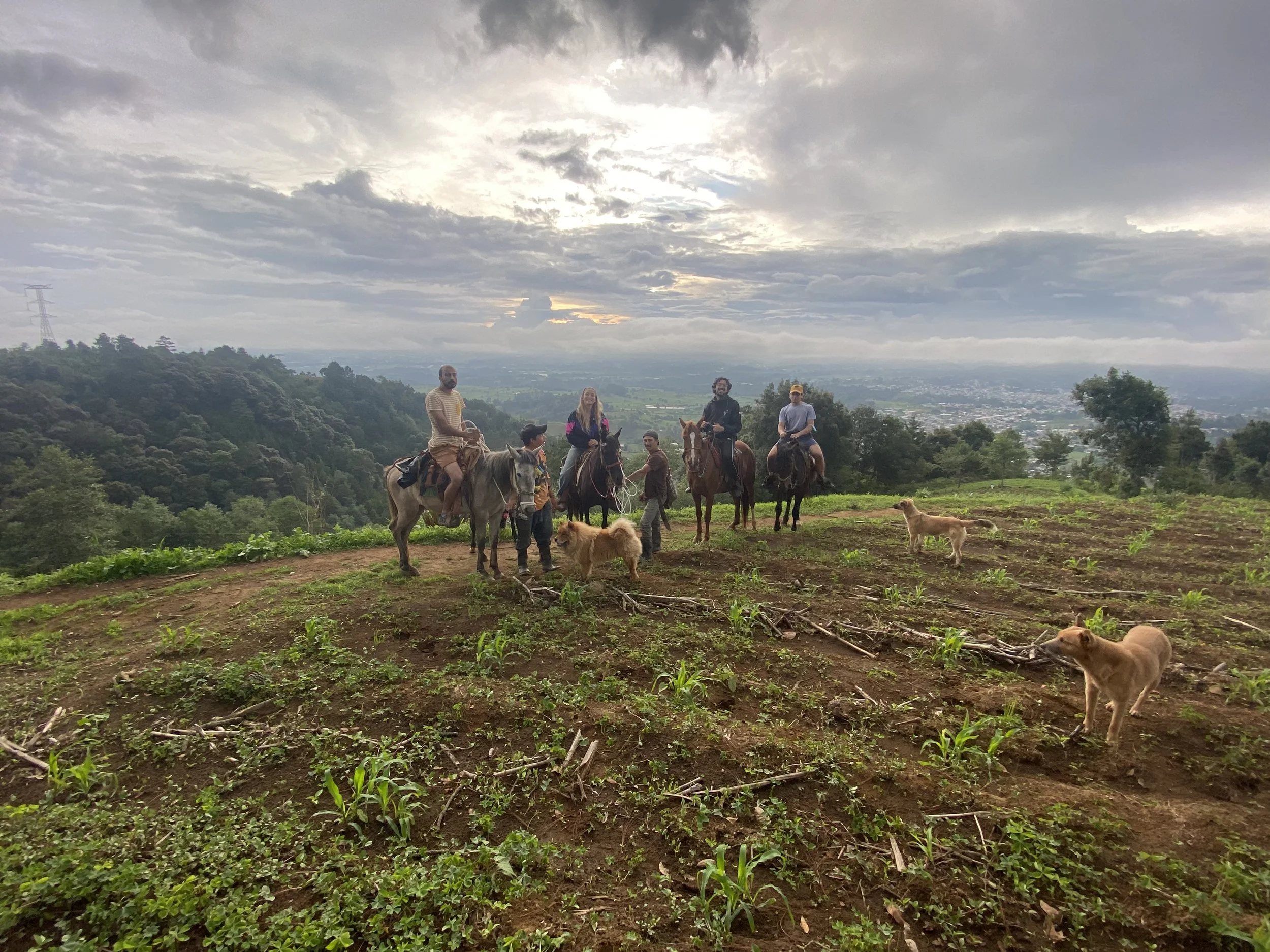Horse riding at sunset
