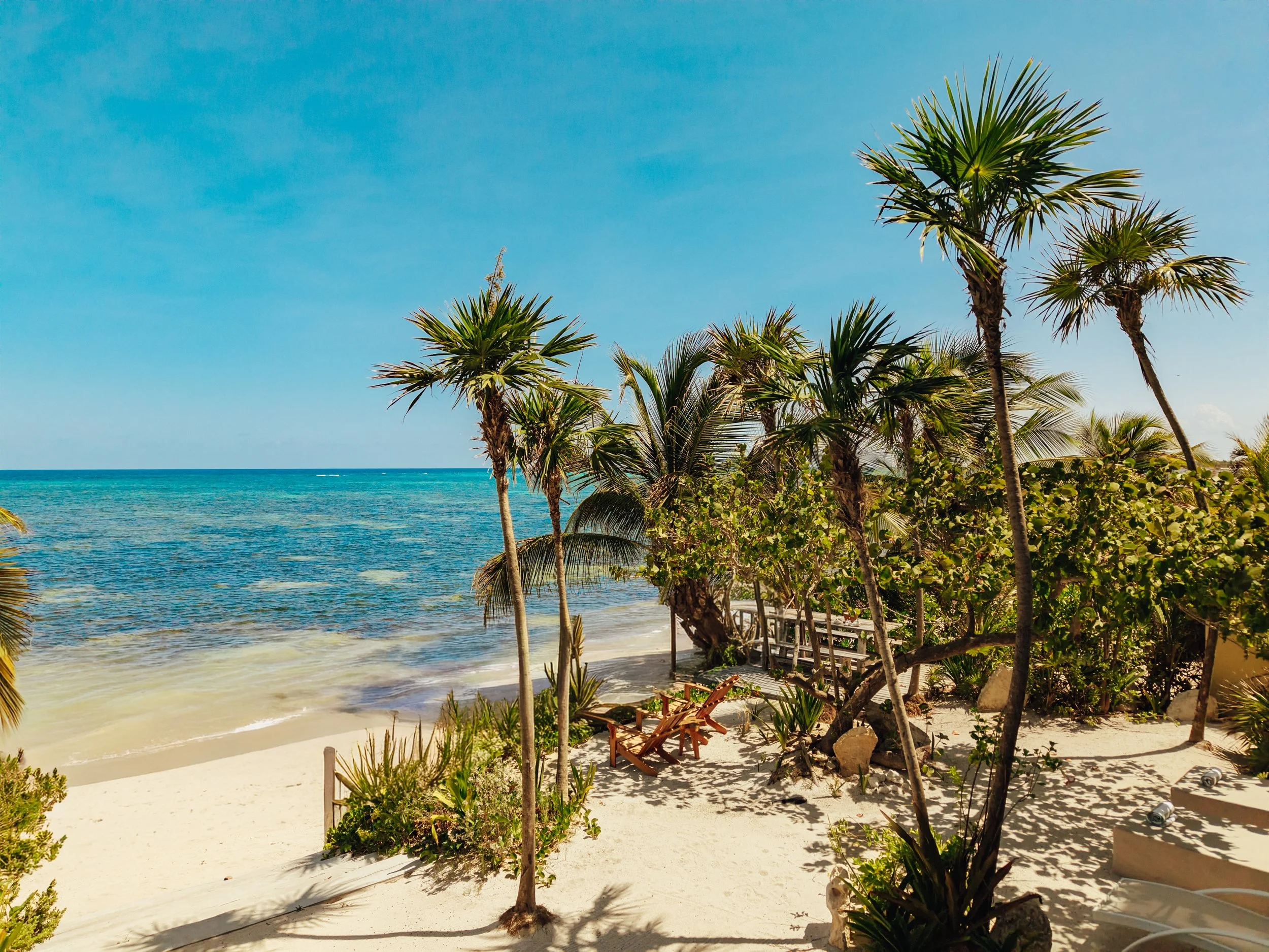 Beach scene with clear blue sky, turquoise water, and palm trees with lounge chairs on the sandy shore.