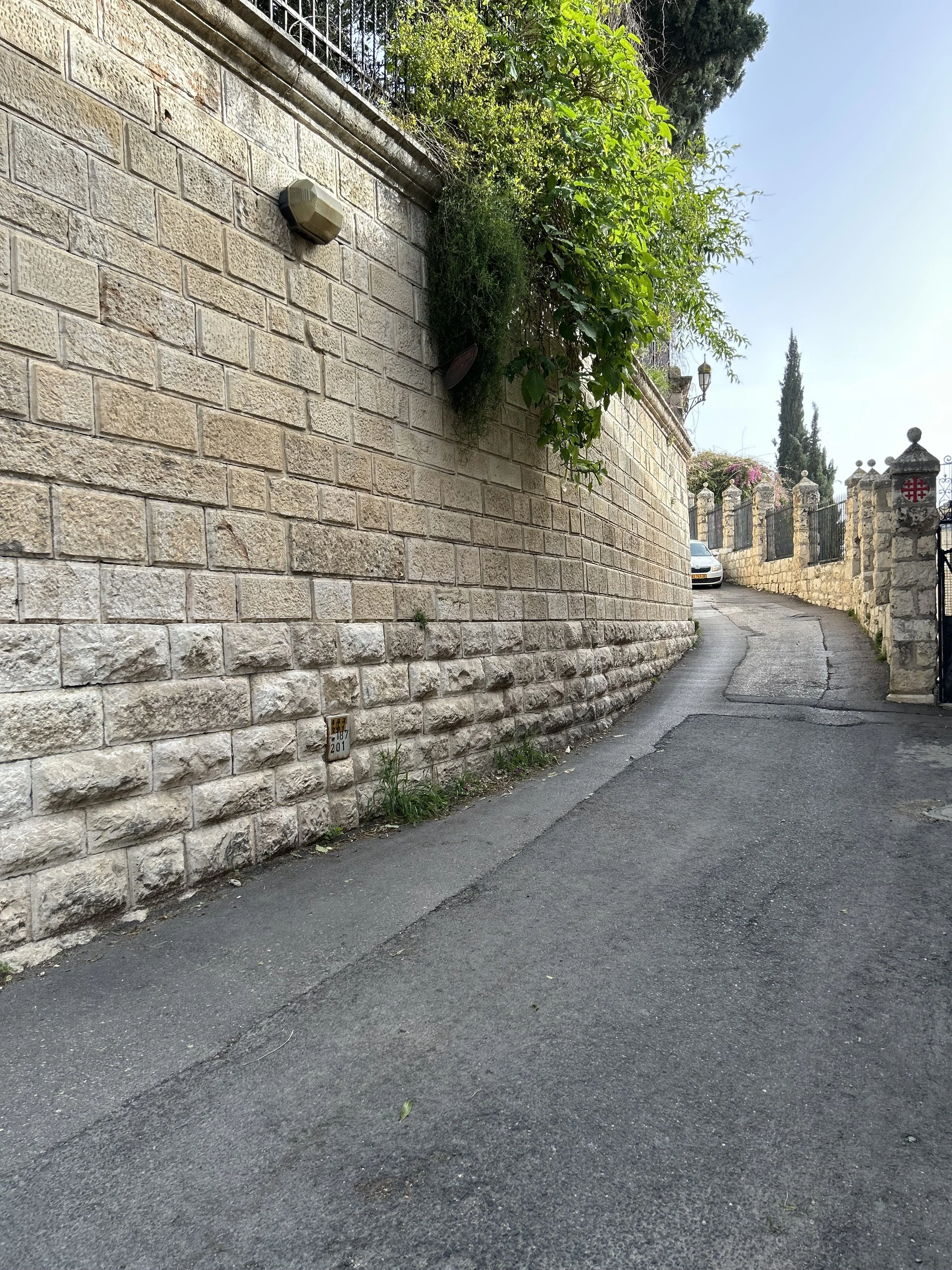 Palm Sunday Festival Service 