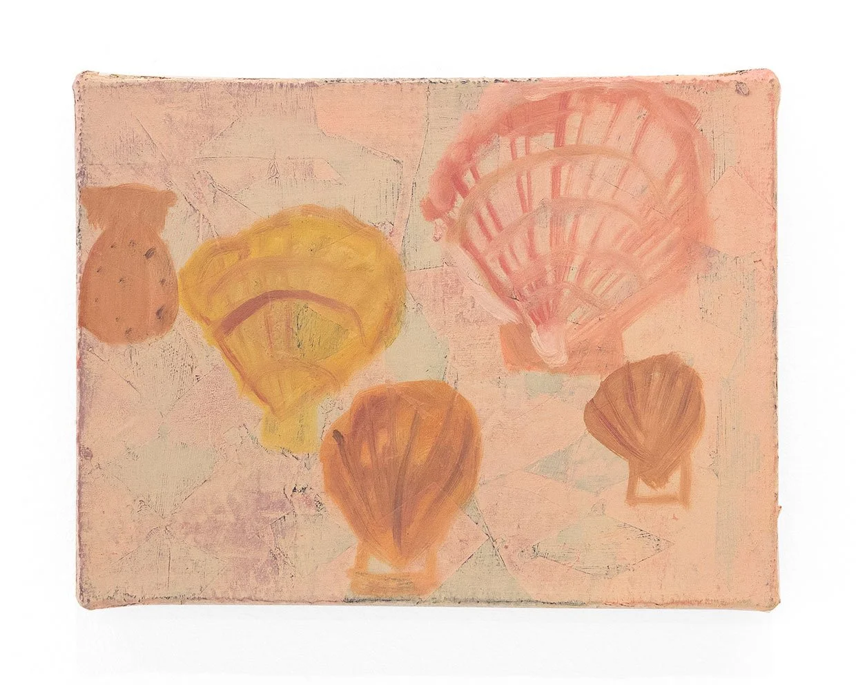 5 Shells, 2026, oil on burlap on panel, 12 x 9 in
