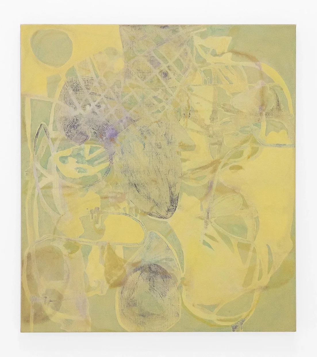 Citron, 2026, oil on linen, 38 x 34 in