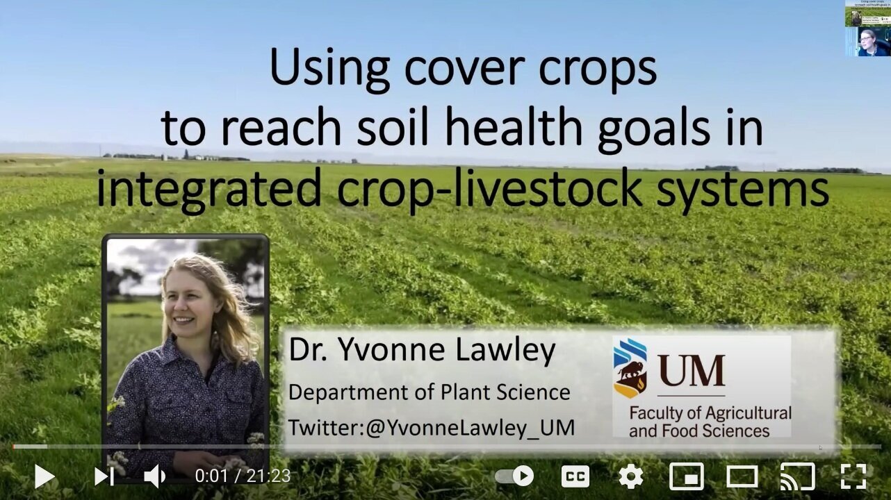 Cover%2Bcrops%2Bfor%2Bsoil%2Bheatlh.jpg