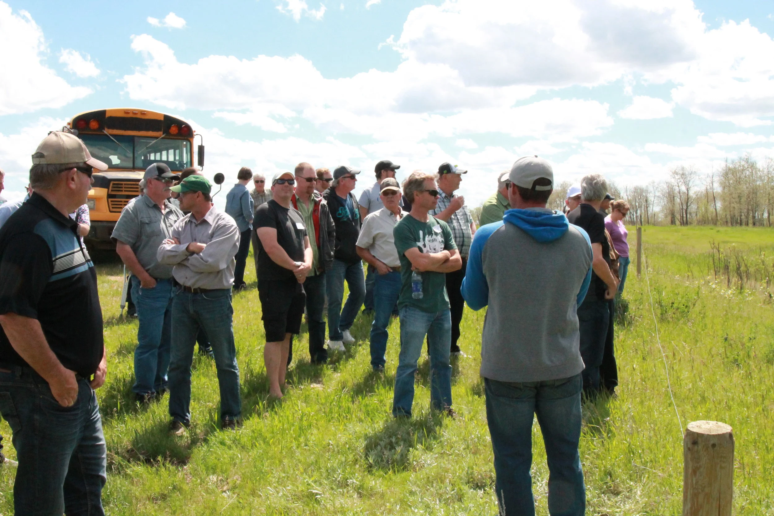 producers near bus.JPG