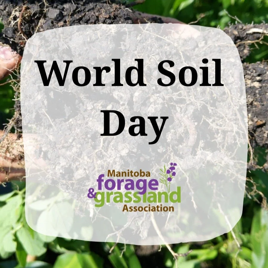 Happy World Soil Day!

#worldsoilday