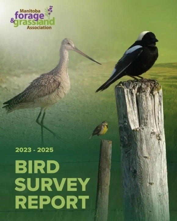 MFGA BLOG: On the Wings of Soil: MFGA Bird Survey Report 2023-25 Released

Link in bio or www.mfga.net