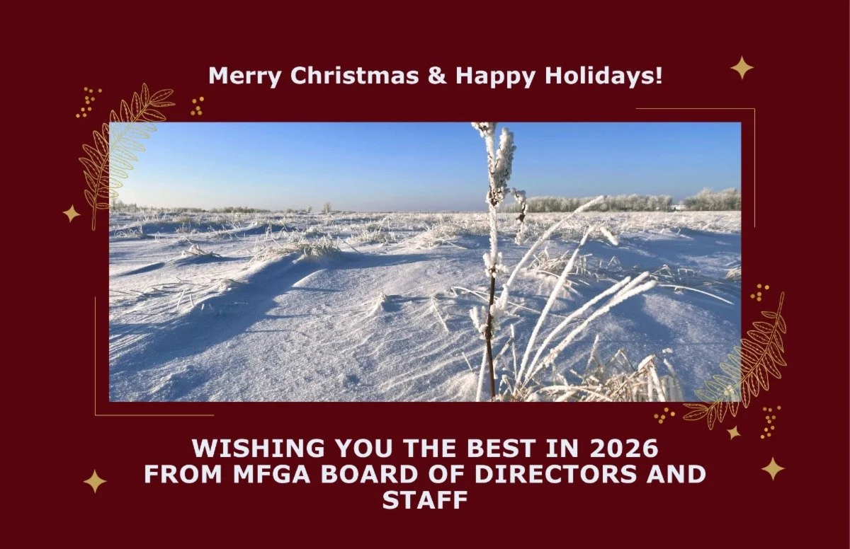 Merry Christmas &amp; Happy Holidays!