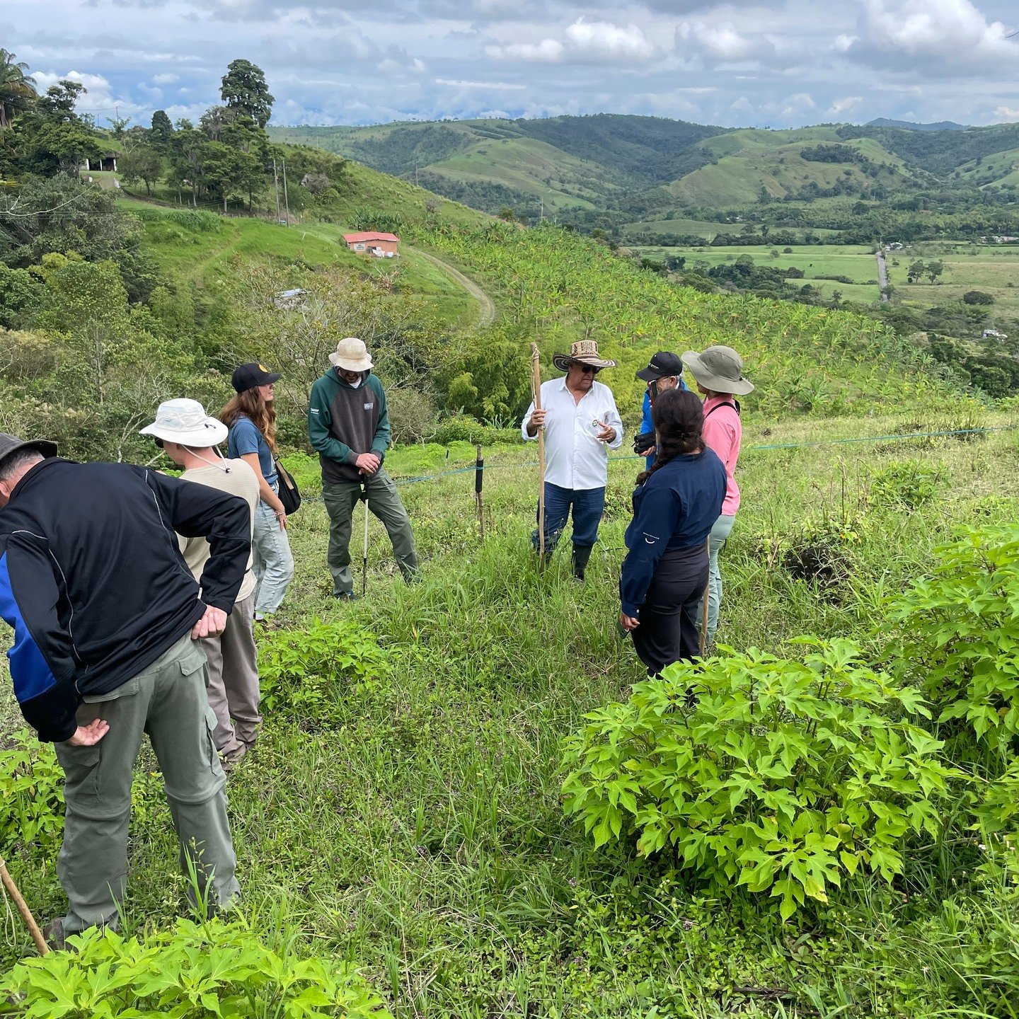 MFGA representatives traveled to Colombia this month to share how regenerative agriculture in Manitoba connects to bird abundance and conservation globally.

Back home, we welcomed a new Project Manager, saw updates to forage insurance and AgriInsura