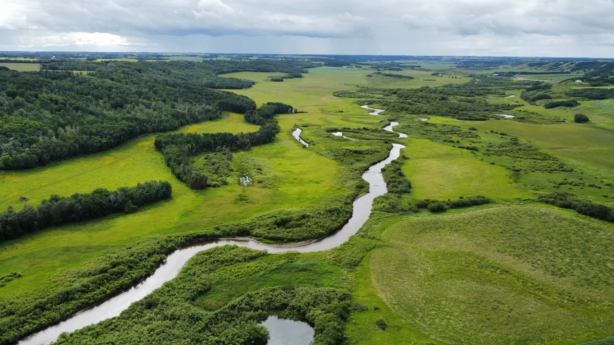 March 17 is Manitoba Agriculture Awareness Day.

This year&rsquo;s theme, Agriculture in Action, recognizes the innovation, resilience, and hard work that drive Manitoba&rsquo;s agriculture sector every day.

At MFGA, we see that in action through th
