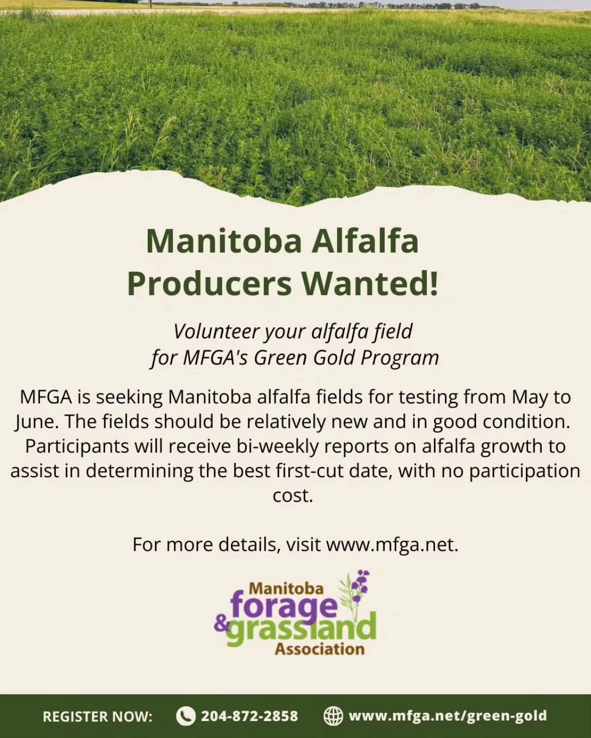 Manitoba Alfalfa Producers Wanted! 

Volunteer your field for MFGA Green Gold Program. 

For more details, visit www.mfga.net