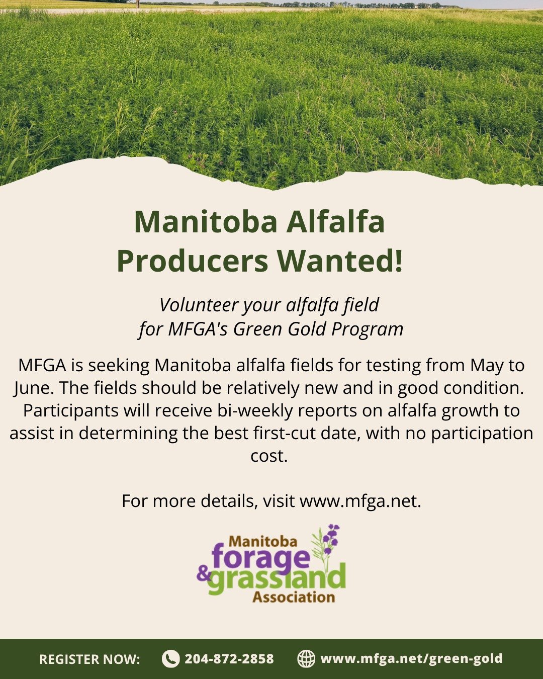 Make your alfalfa field a Green Gold field! MFGA is seeking alfalfa fields through out Manitoba to test for the best first-cut date. 

No participation cost. 

For more details, visit: www.mfga.net/green-gold