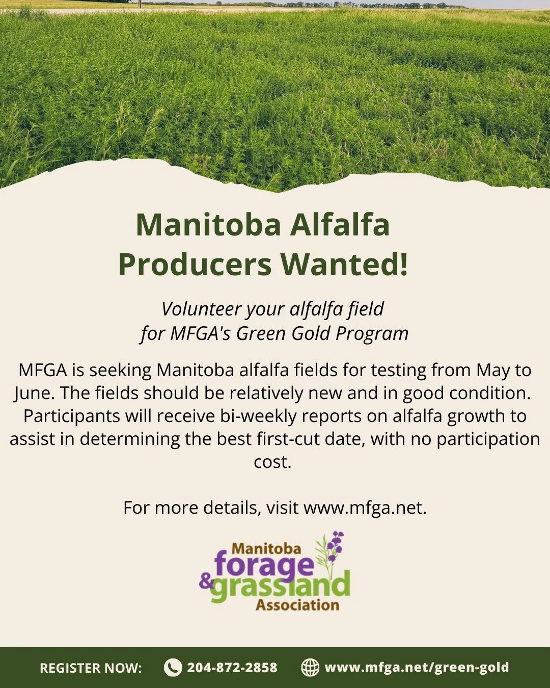 Make your alfalfa field a Green Gold field! MFGA is seeking alfalfa fields through out Manitoba to test for the best first-cut date.

No participation cost.

For more details, visit: www.mfga.net/green-gold
2d