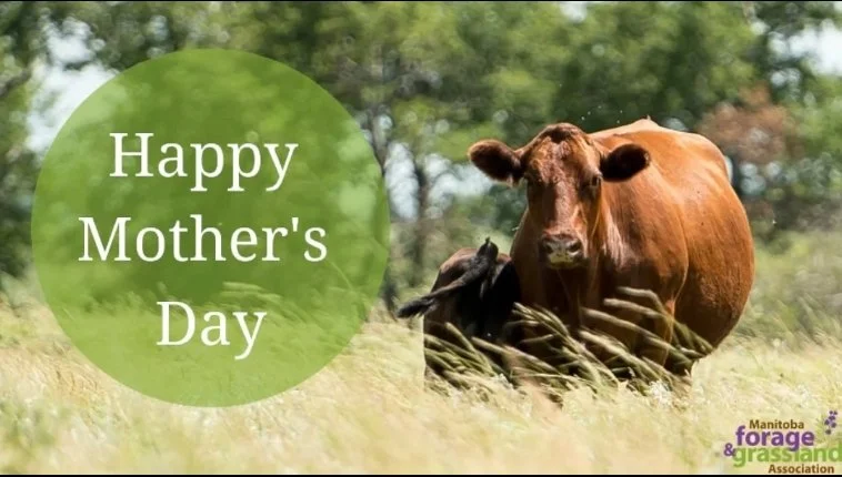 Happy Mother's Day!