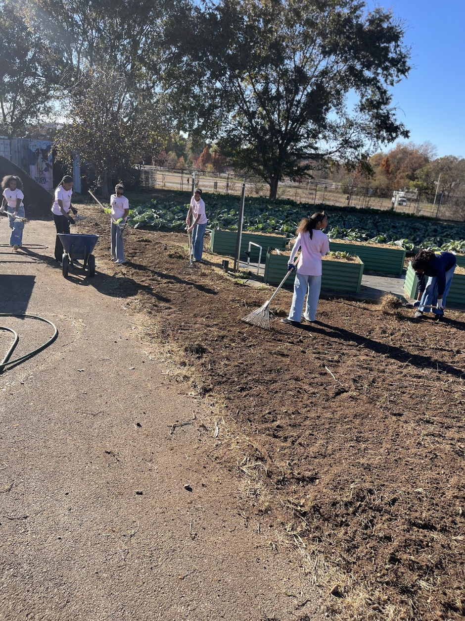 Screenshot 2025-12-01 at 10.40.46 AM.png