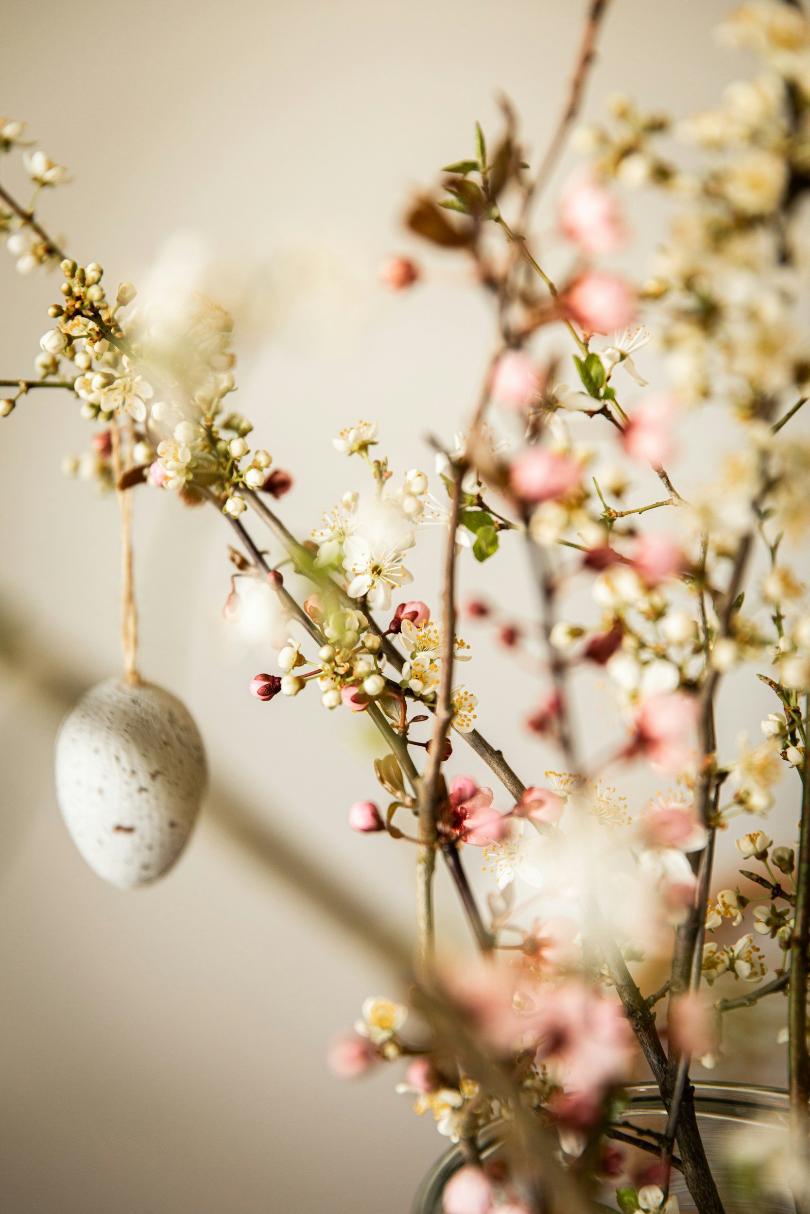 Ostern steht für Neubeginn, Hoffnung und das Licht nach der Dunkelheit.