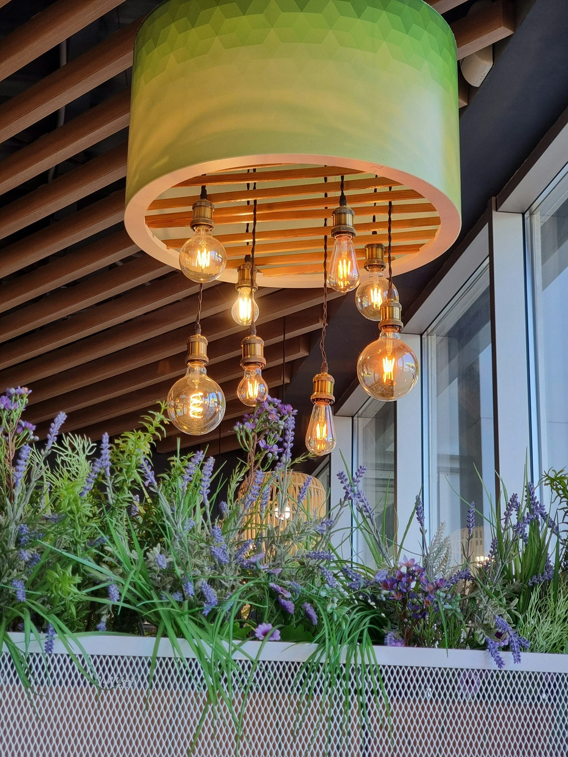 Ceiling light fixture with a green gradient drum shade and hanging Edison-style filament bulbs, located in a modern interior with wooden slatted ceiling and large window. Potted purple and green plants in the foreground.