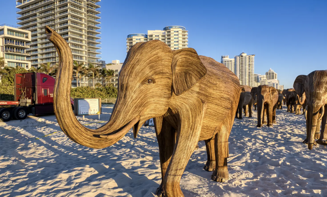 Screenshot 2024-12-09 at 3.08.53 PM.png