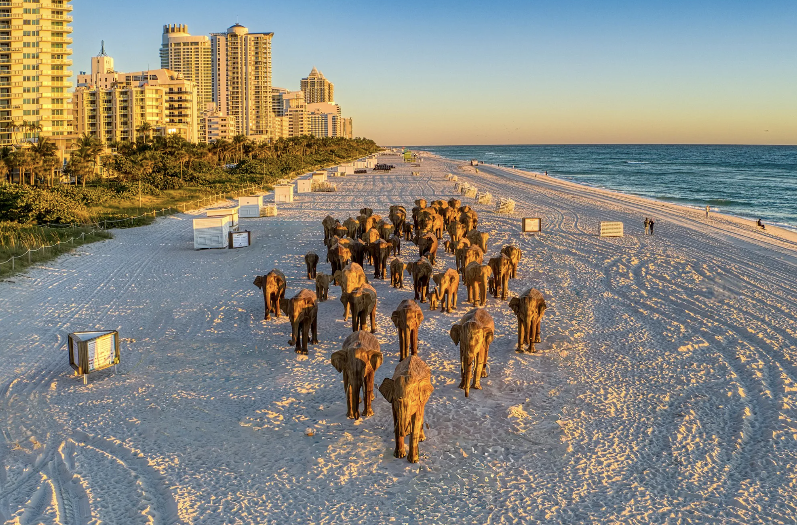 Screenshot 2024-12-09 at 3.02.28 PM.png