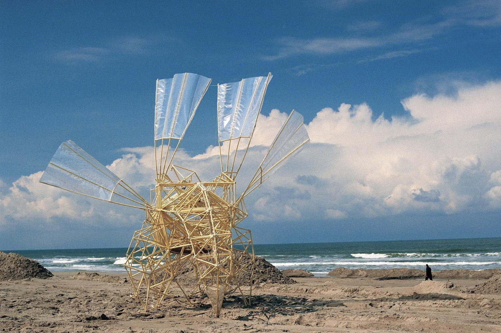 Screenshot 2024-12-09 at 11.23.44 AM.png