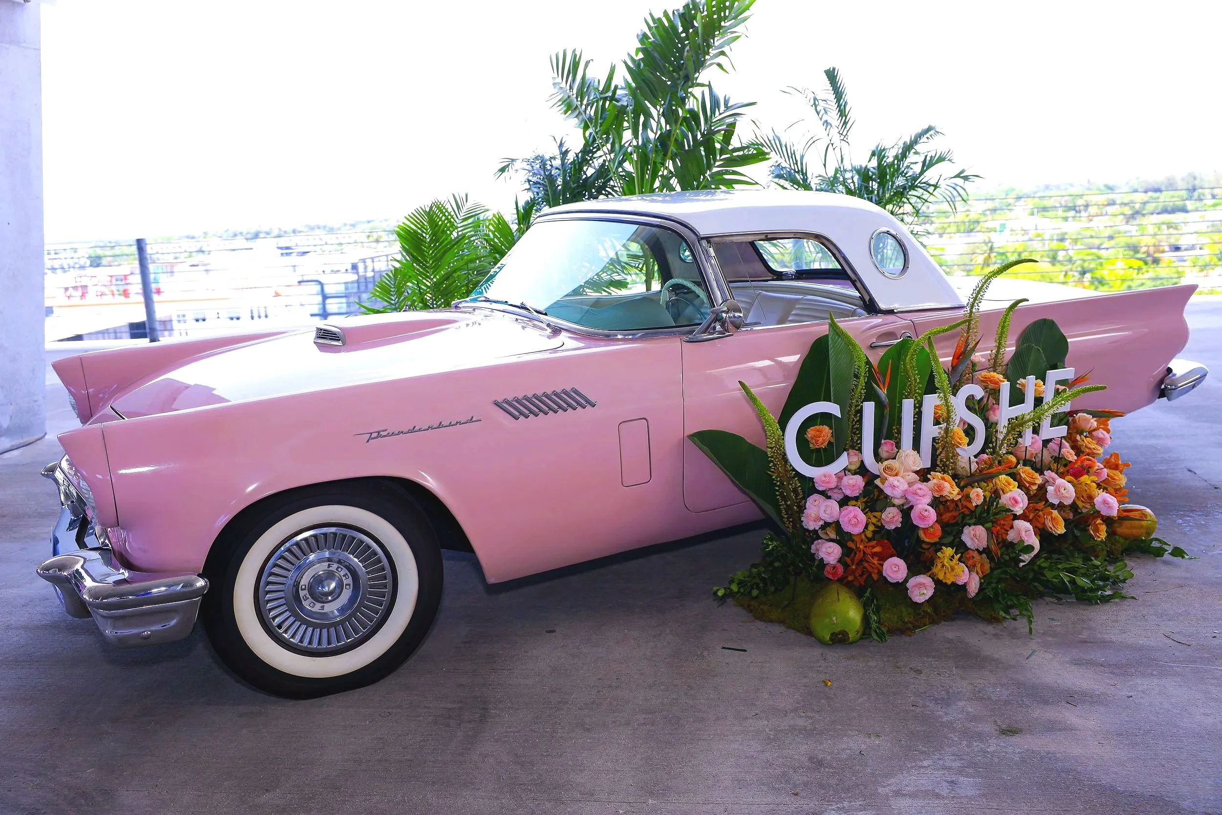 _PARAISO_C_RSC_0001_-228.jpg