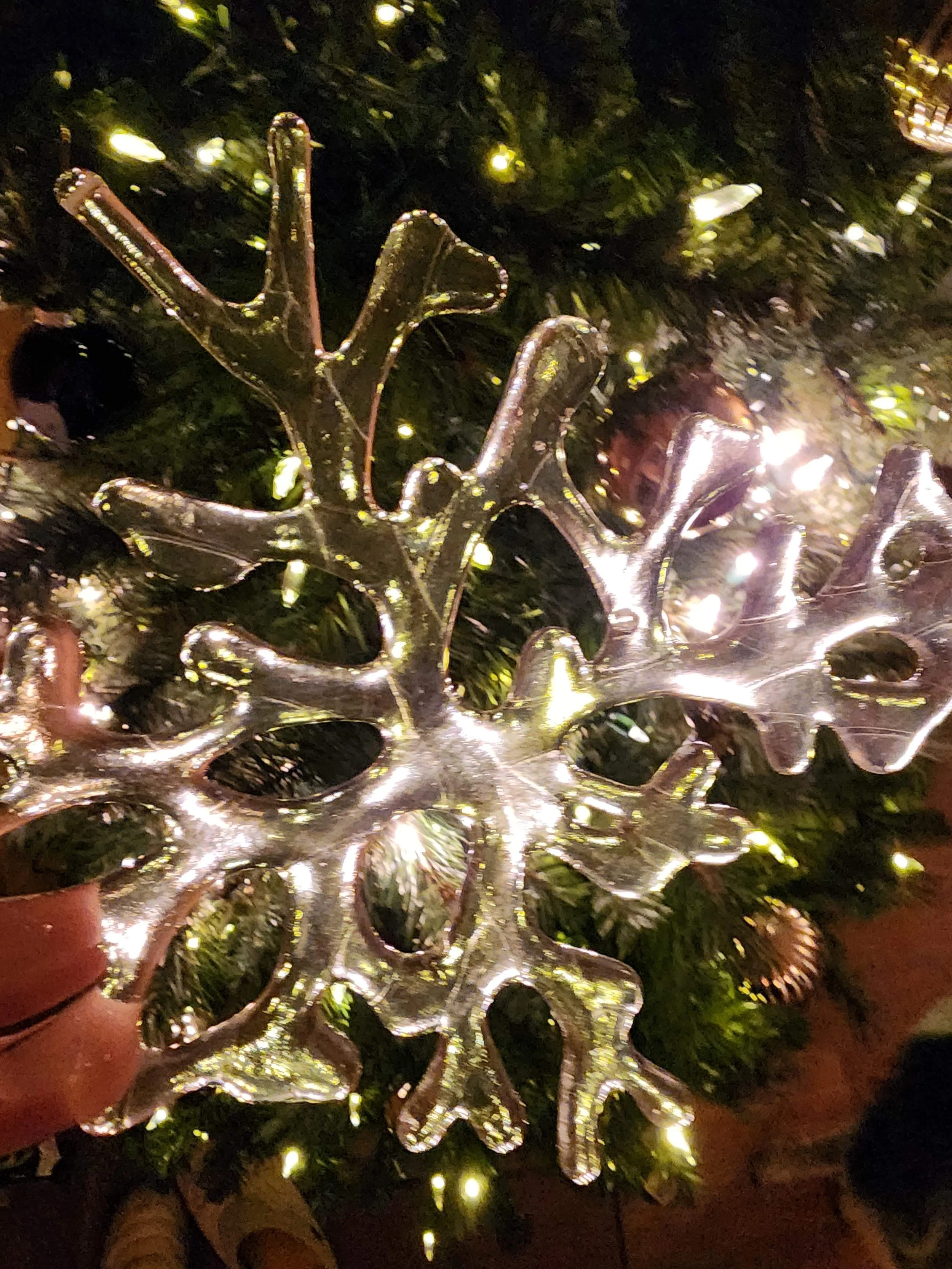 20251117_181145.jpg