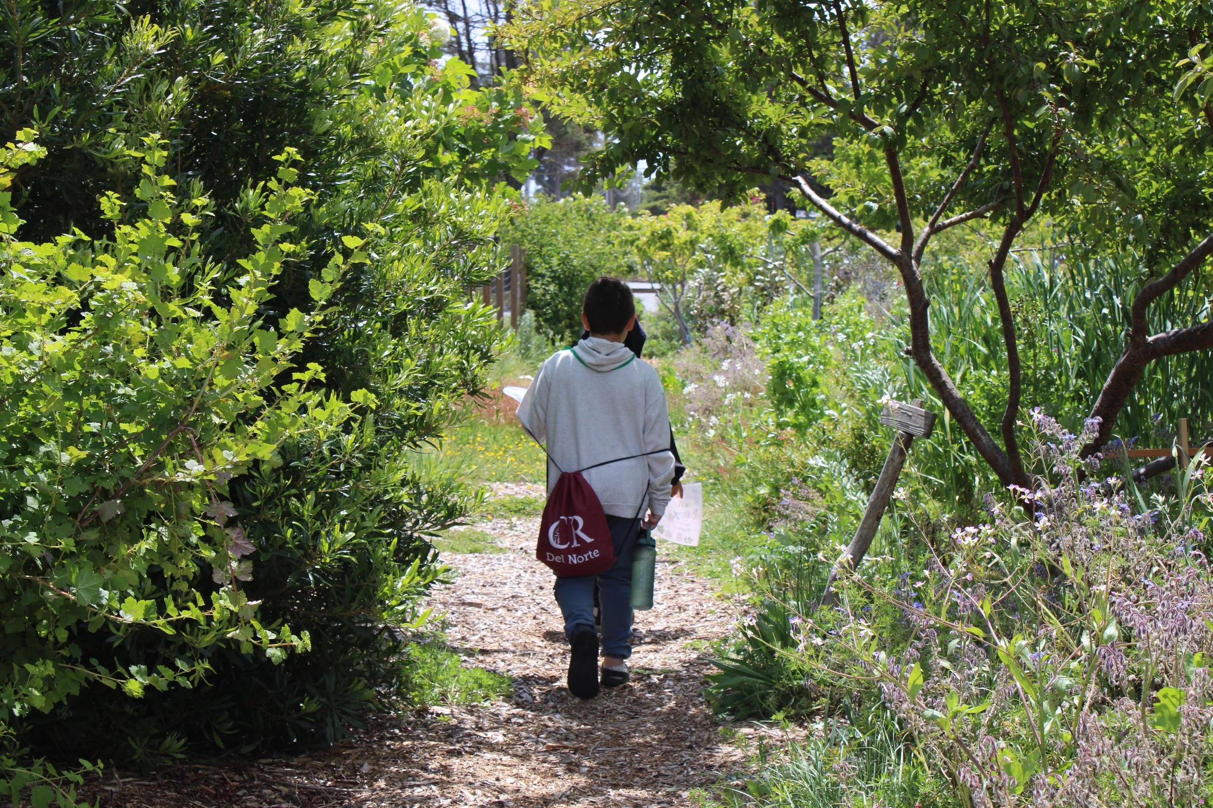 4th Grade Field Trip at the Food Forest