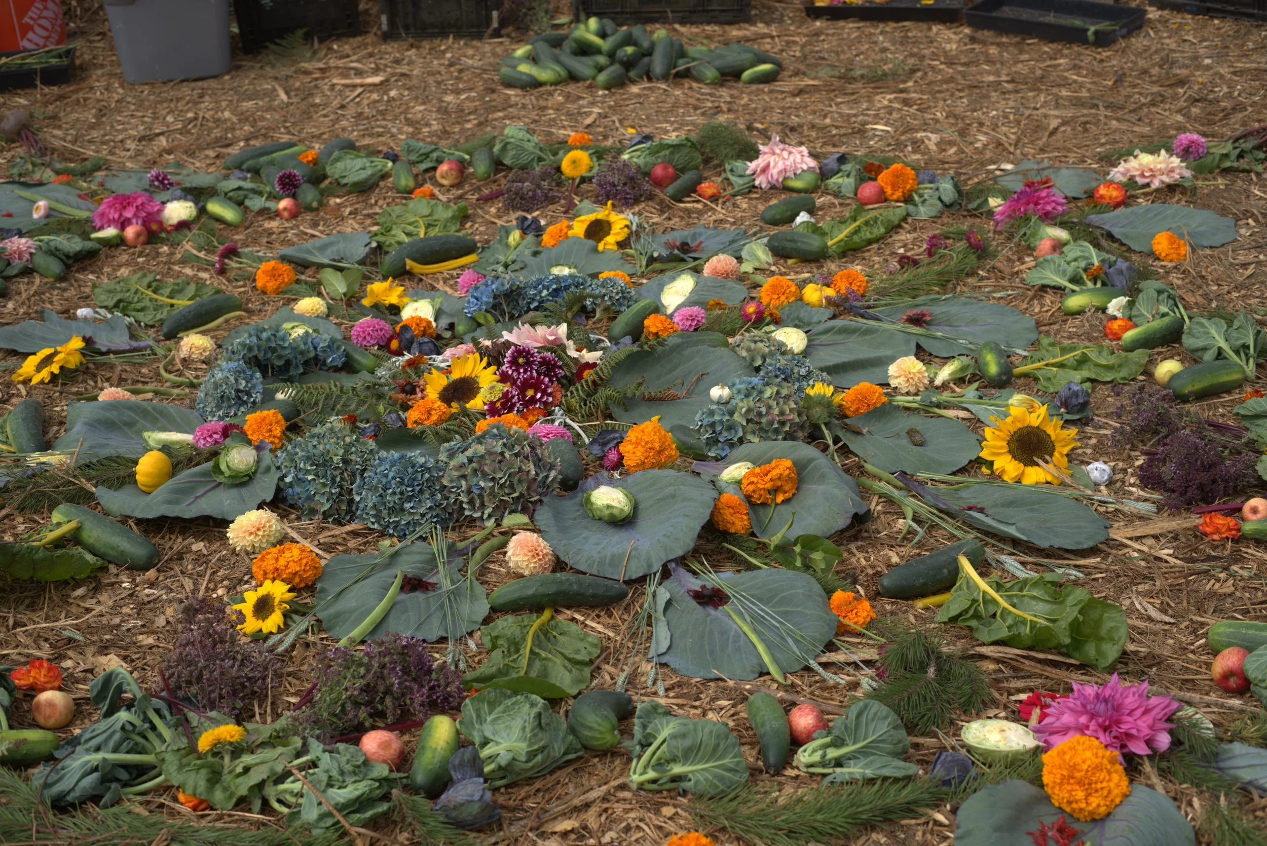 Harvest Festival