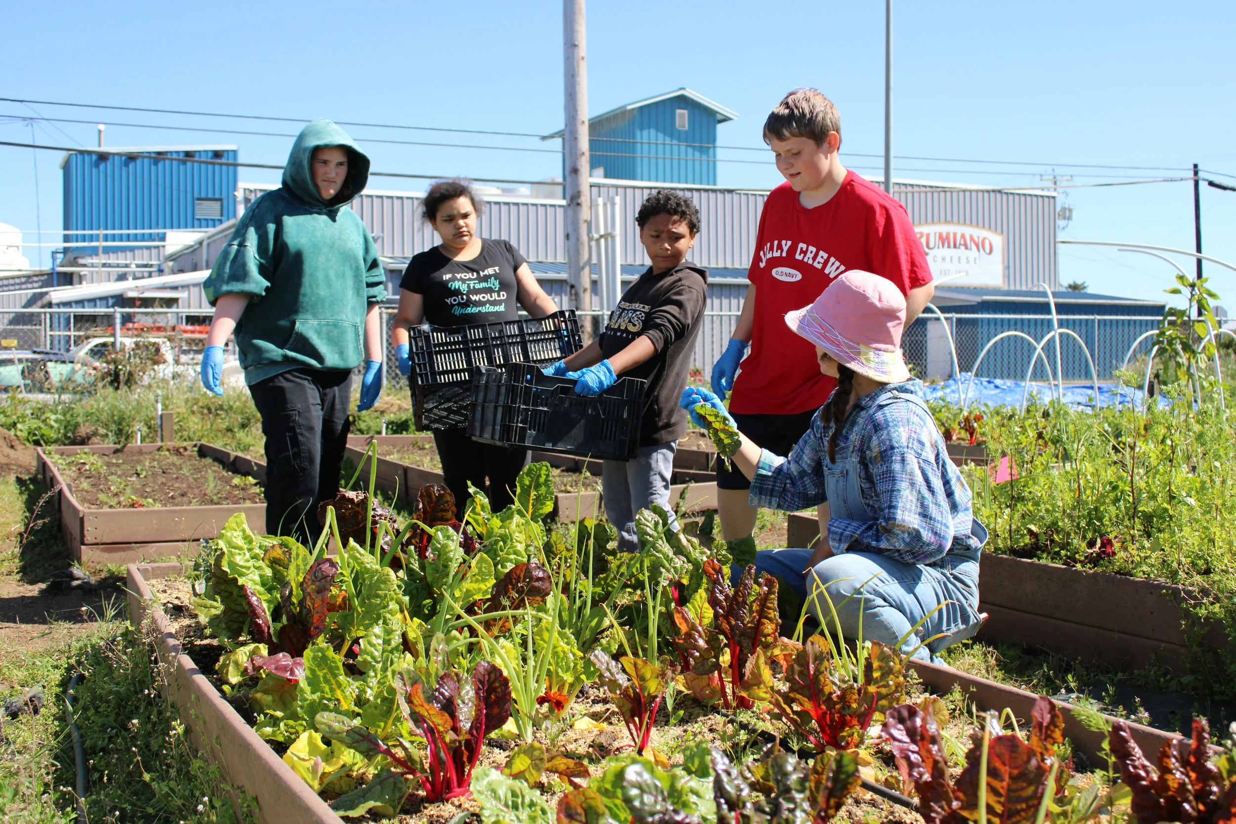 Youth Entrepreneurship Program