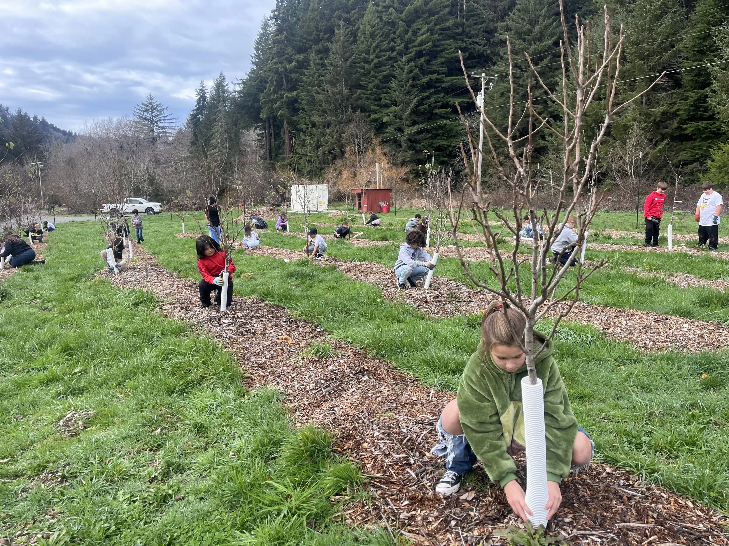 February 2025 Newsletter