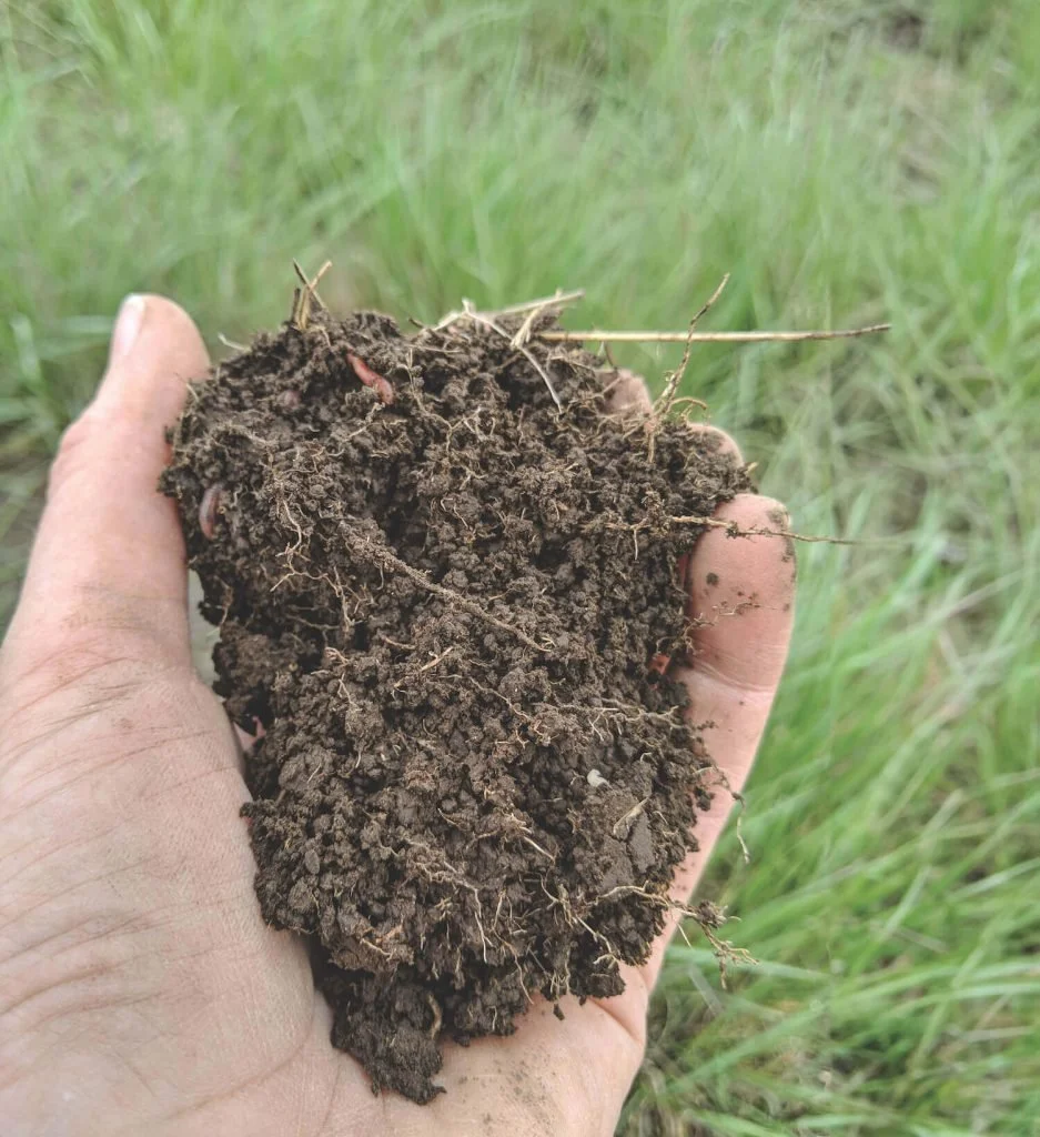 Building Soils Workshop