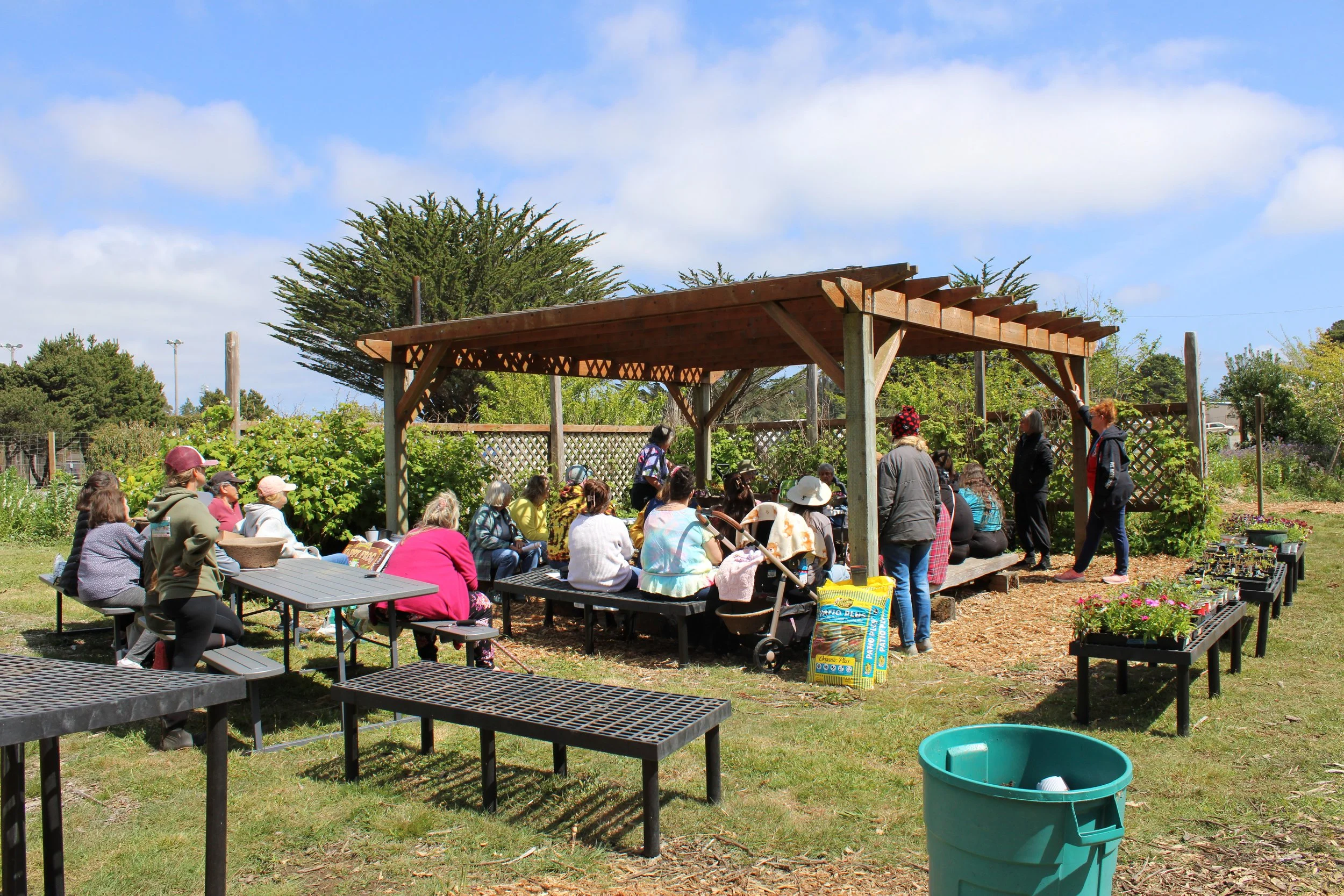 Salad Bowl Workshop hosted by Master Gardener Marie Reeder at the Food Forest.