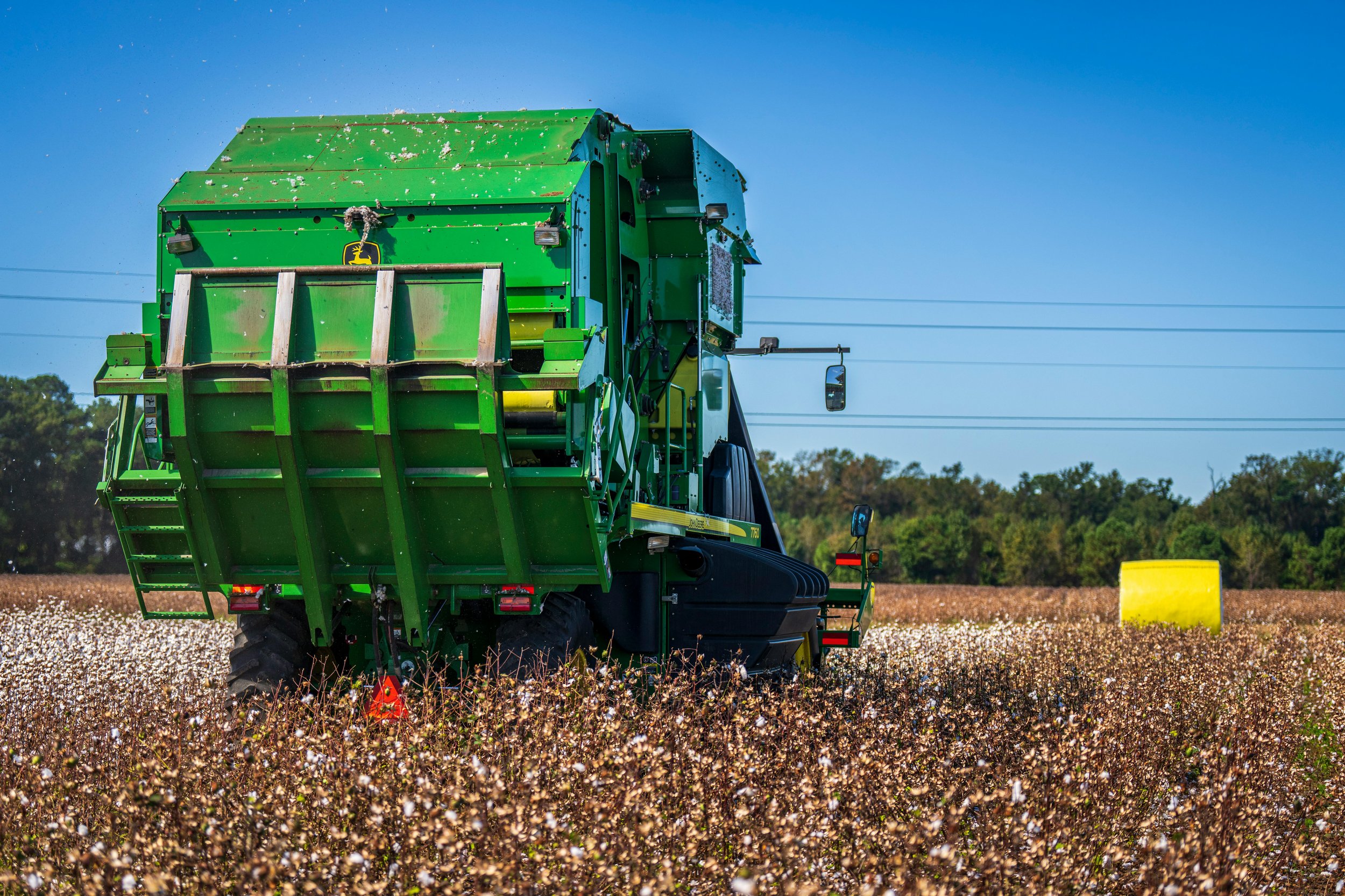pexels-nc-farm-bureau-mark-13924875.jpg