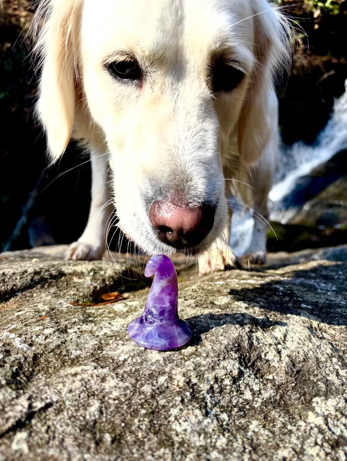 Luna and our traveling witches hat wanted to say hello and hopes you all have been enjoying the holidays! ✨ If you're in town, we are open! Stop by and say hi! If not, have a happy new year! 🎆💜