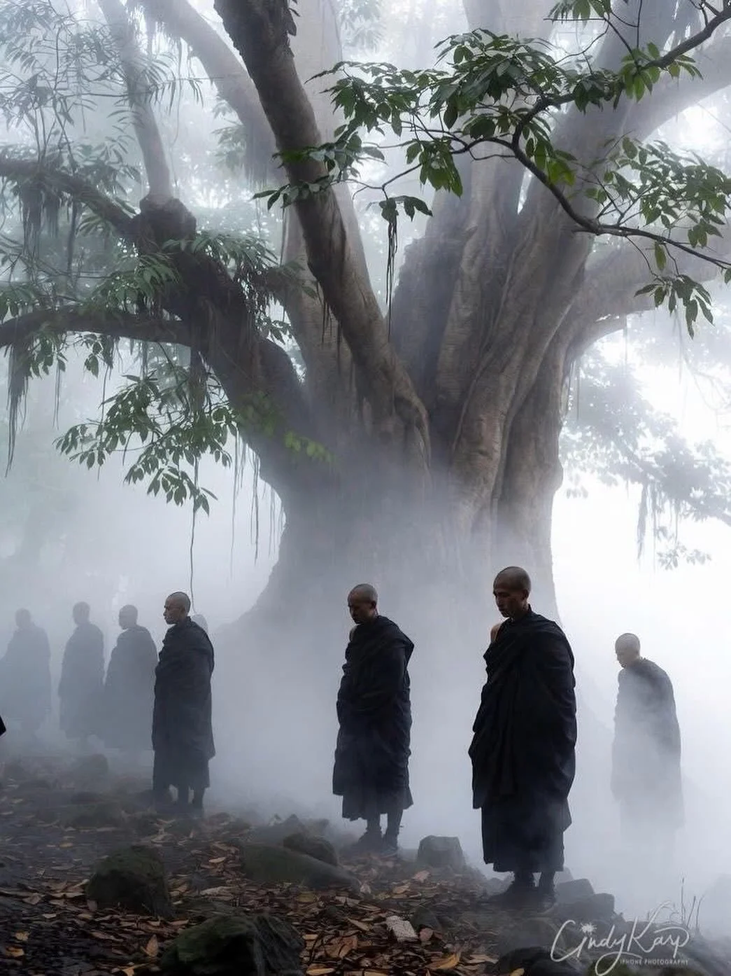 The venerable monks, who are walking across the United States for Peace, passed through Northern Georgia 3 days ago on their way to Washington, D.C. They are walking 2,300 miles to promote peace, love, kindness and compassion across The United States