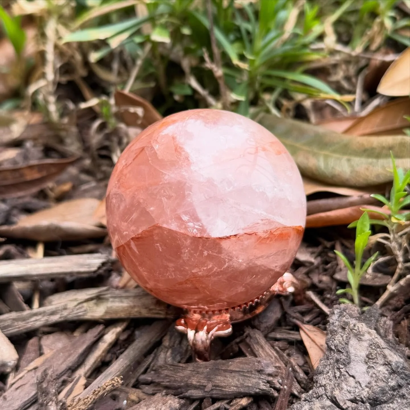 Today is the full moon in Virgo! ♍️ 🌕 This moon was extra magical because it was a total lunar eclipse/blood moon at 3:33 am on 3/3! How cool! Along with the full moons cleansing energy, there is also an air of expansion and encouragement! Virgo can