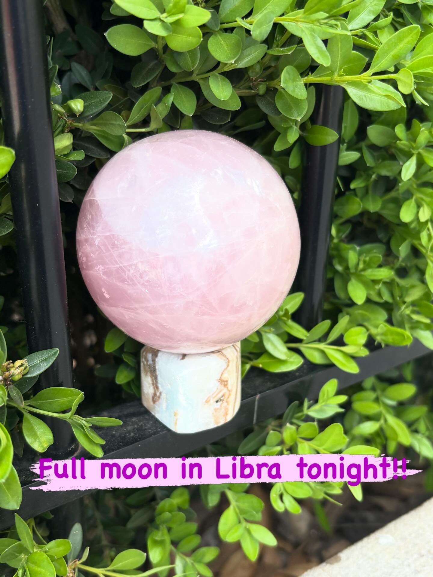 Tonight, April 1st, at 10:12 pm, The Full Moon in Libra occurs. This full moon is known as the Pink Moon because Spring flowers are blooming. Tonight and tomorrow are perfect opportunities to focus on balancing relationships, personal needs and partn