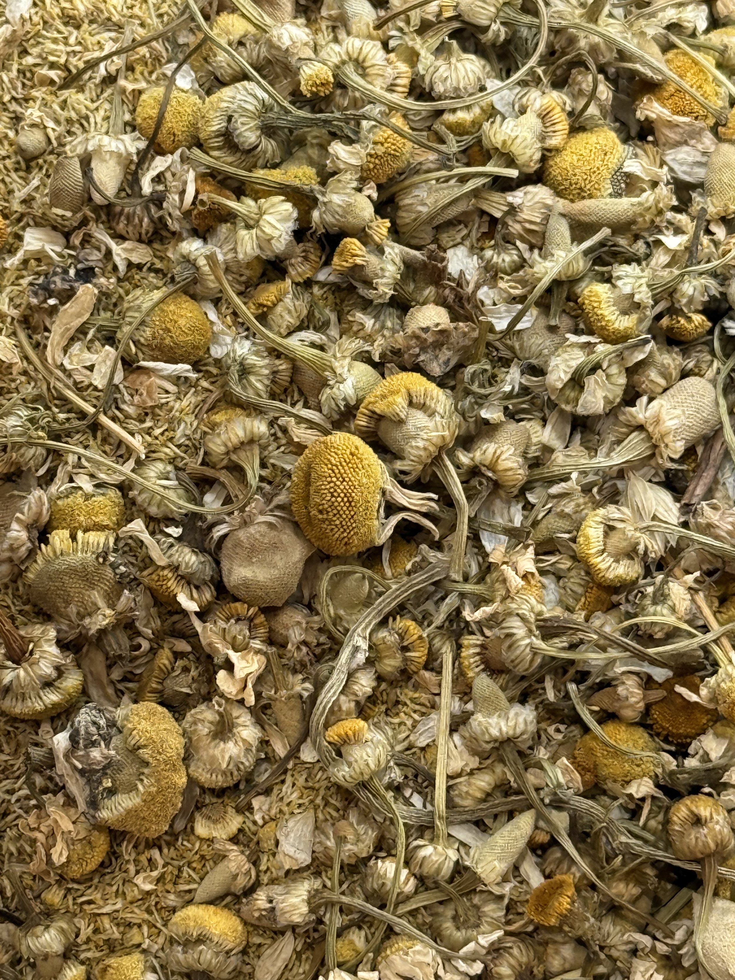 Chamomile