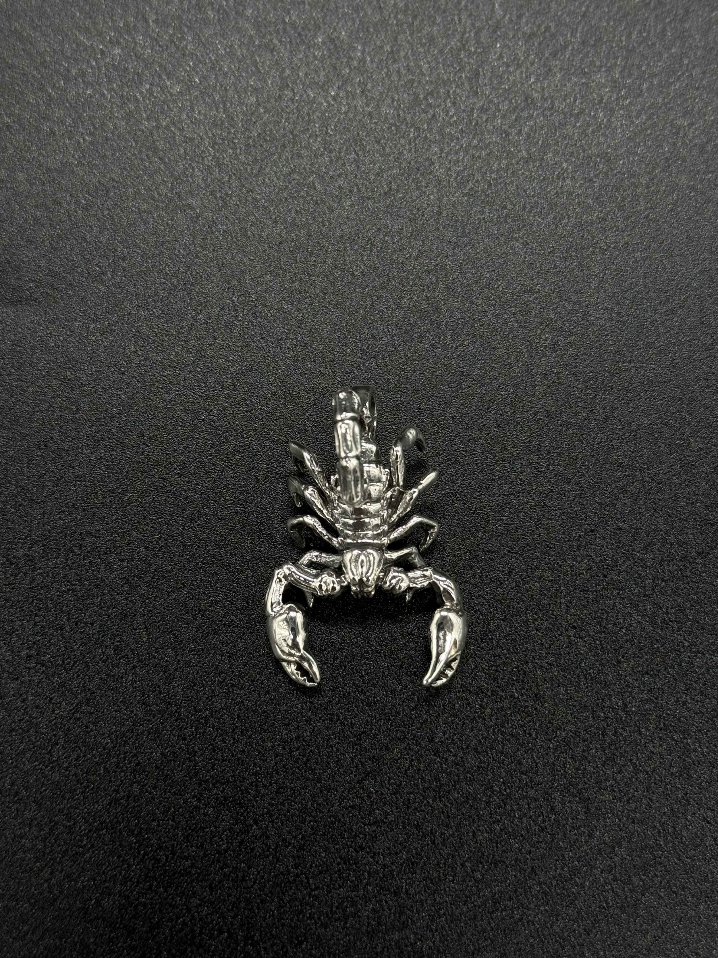 silver scorpion 2.jpg