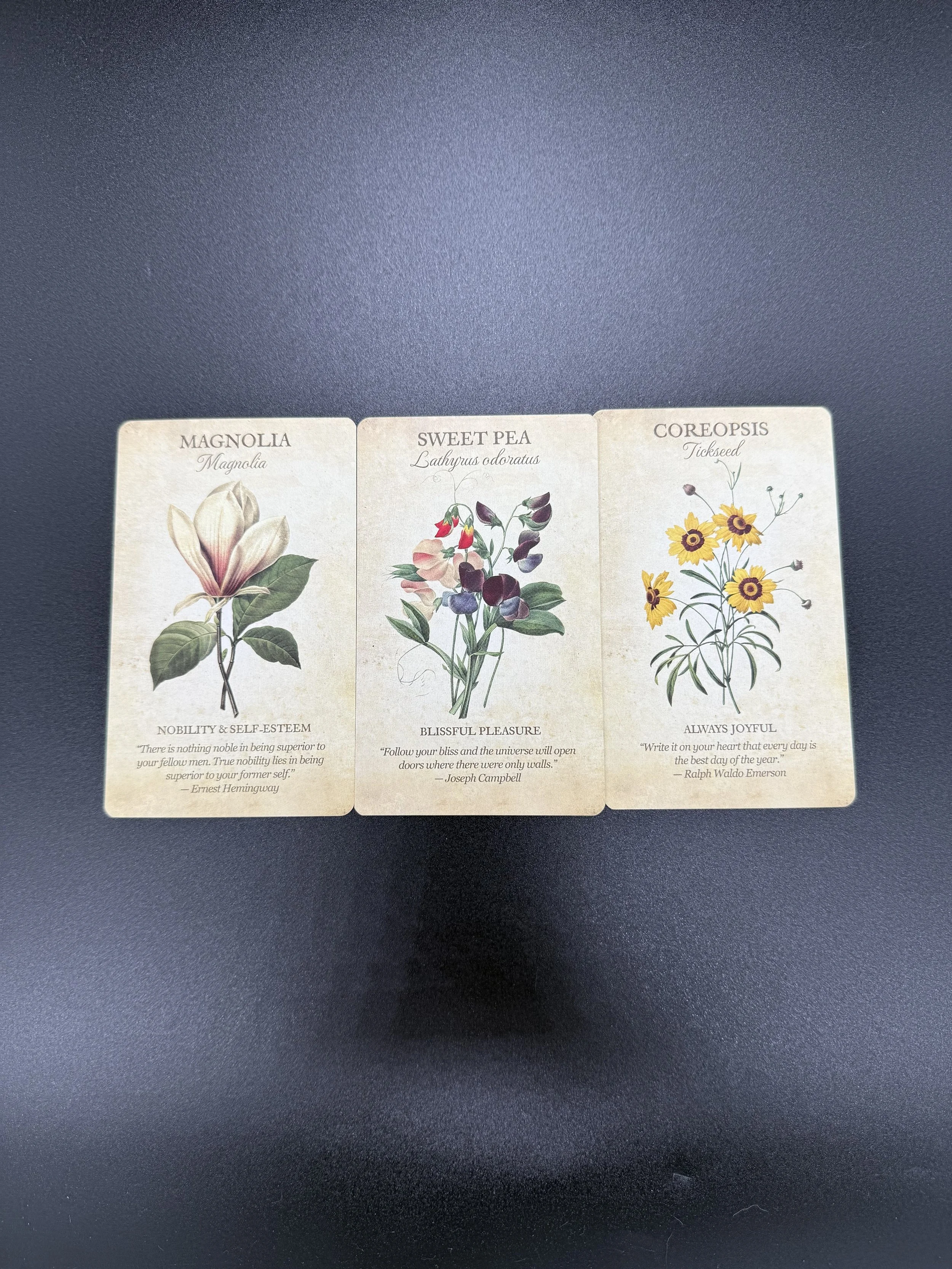 botanical inspirations 3.jpg